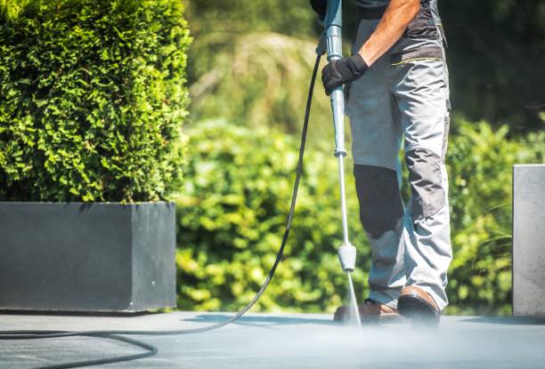 Best Roof Washing  in Central Islip, NY